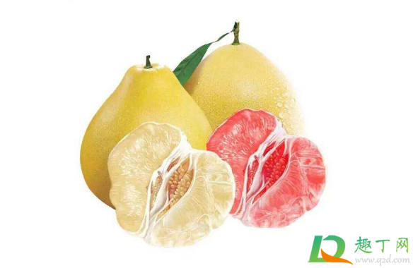 柚子吃起来有酒味怎么回事(柚子吃了有酒的味道,什么情况?)