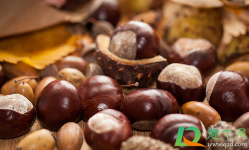 板栗风干了怎么保存(板栗可以烘干保存吗)