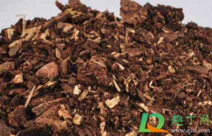 中药渣做花肥怎样自制(中药渣能否做养花肥料)