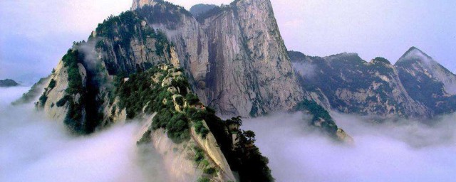 你可知中华的华来自它(华中华的华)