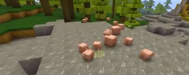 今天就来告诉大家(今天就给大家介绍)