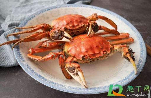 螃蟹里面黑乎乎的是什么东西需不需要去掉(螃蟹爪子上黑乎乎的是什么东西)