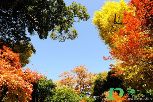 2021元旦会调休吗(2021年元旦要调休吗) 2021元旦会调休吗(2021年元旦要调休吗)