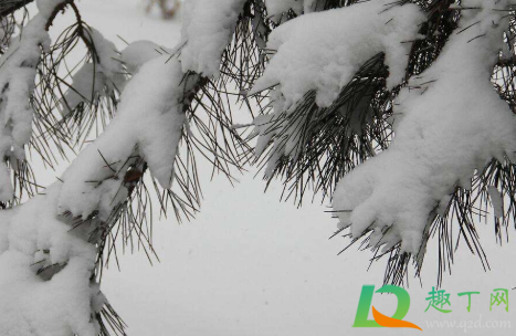 2020大雪节气可以搬新家吗(2020年哪天大雪节气) 2020大雪节气可以搬新家吗(2020年哪天大雪节气)