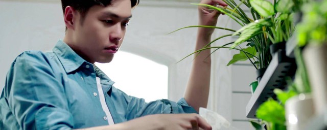 关于男主的角色简介(男主的人物设定)