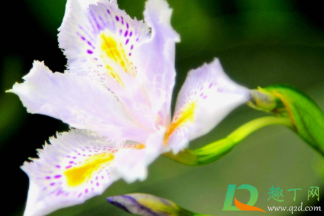 2021年2月天气有倒春寒吗(2021年三月份会出现倒春寒吗)