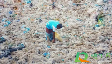 日本福岛核污水可能损害人类DNA真的吗(日本福岛核污染水对人类影响)