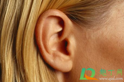 耳朵里总有嗡嗡声是进虫子吗(耳朵里总有声音在响像是有虫子) 耳朵里总有嗡嗡声是进虫子吗(耳朵里总有声音在响像是有虫子)
