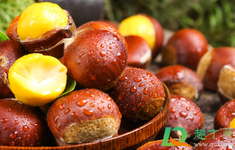 板栗风干了怎么保存(板栗可以烘干保存吗)