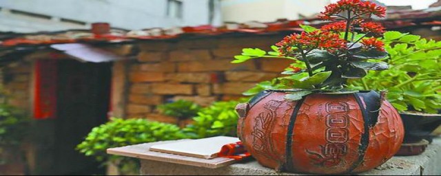 废旧篮球作用(旧篮球如何废物利用)