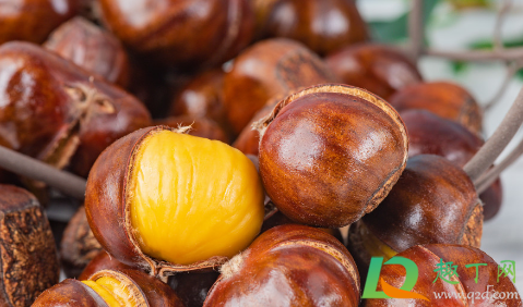 凉的板栗可以放进微波炉里热吗(冷了的板栗可以微波炉加热吗) 凉的板栗可以放进微波炉里热吗(冷了的板栗可以微波炉加热吗)