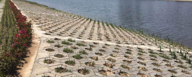 电影讲述什么呢(电影讲述的是)