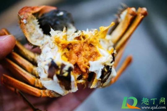 螃蟹蟹黄硬的好还是软的好(螃蟹蟹黄硬的和软的有什么区别)