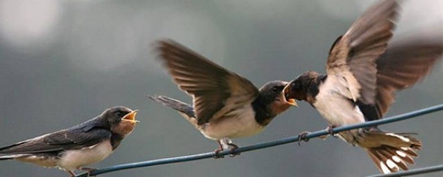 第二自然段突出了春天的生气(春第二自然段抒发了作者怎样的思想感情)