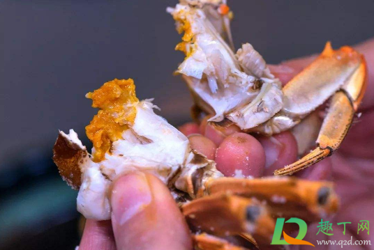 蟹黄干的好还是稀的好(蟹黄是稀的好还是硬的好)