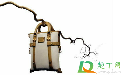 帆布包掉色怎么洗(帆布包脏了洗不掉怎么办)