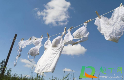 内裤用沐浴露洗的干净吗(内裤可以用沐浴露洗嘛) 内裤用沐浴露洗的干净吗(内裤可以用沐浴露洗嘛)