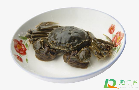 螃蟹放在袋子里会闷死吗(螃蟹在袋子里面多长时间可以闷死)