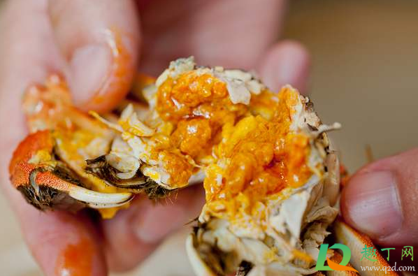 蟹黄不成形是不新鲜吗(螃蟹蟹黄不成形) 蟹黄不成形是不新鲜吗(螃蟹蟹黄不成形)