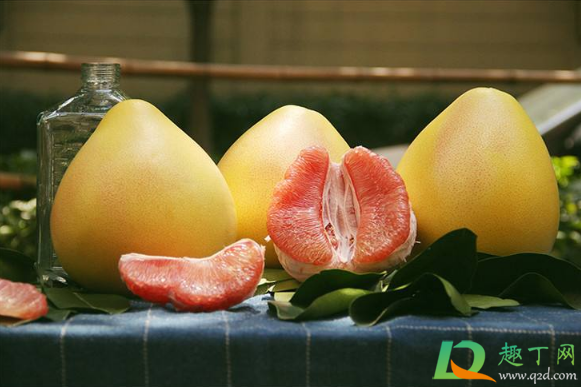 买柚子要买公柚还是母柚(如何挑选母柚子)