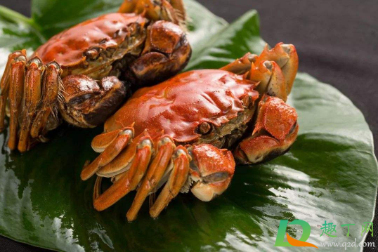 蟹黄为什么是绿色的(蟹黄是绿色是什么原因) 蟹黄为什么是绿色的(蟹黄是绿色是什么原因)