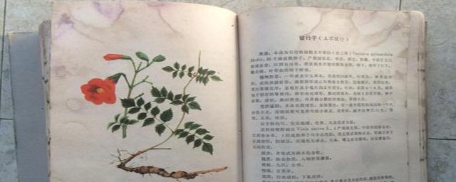 魔兽世界采药专业快速冲级攻略(魔兽世界采药怎么冲)