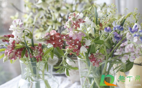 花泥养花好还是花瓶养花好(泥盆养花到底好不好) 花泥养花好还是花瓶养花好(泥盆养花到底好不好)