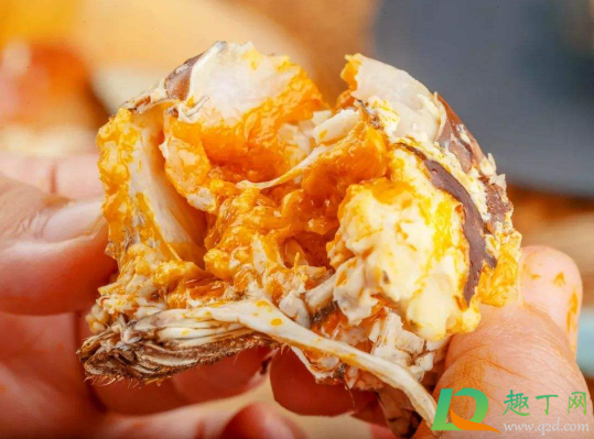 蟹黄在头部还是尾部(母蟹尾巴的黄东西是啥) 蟹黄在头部还是尾部(母蟹尾巴的黄东西是啥)