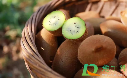 猕猴桃太硬了怎么让它变软(如何让硬的猕猴桃变软)