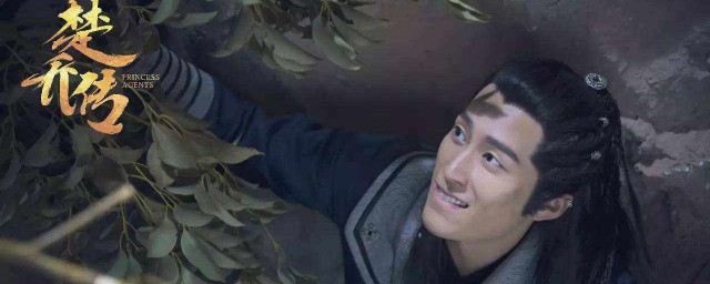 楚乔传的介绍说明(楚乔传楚乔介绍)