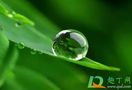 2021雨水节气是哪一天(2021年雨水节气的含义是什么意思)