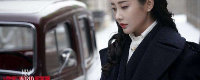 电视剧新世界讲的是什么(新世界电视剧讲述的是什么)