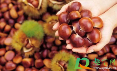 买的熟板栗怎么保鲜(熟板栗可以放保鲜吗)