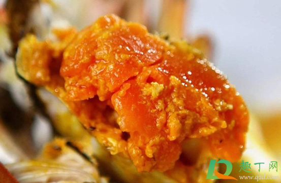 蟹黄在头部还是尾部(母蟹尾巴的黄东西是啥) 蟹黄在头部还是尾部(母蟹尾巴的黄东西是啥)