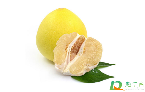 柚子怎么看公母(怎样辨别柚子)