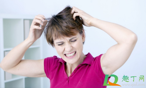 头皮痒有小疙瘩怎么办(头皮痒有小疙瘩怎么办用什么洗发水)