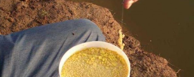 钓鱼酒米可以这样配(钓鱼用酒米用米酒可以吗?)