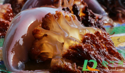 水母和海蜇是一个东西吗(海蜇和水母是同一种东西吗)