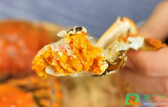 蟹膏是在螃蟹哪里(螃蟹怎么看有没有蟹膏) 蟹膏是在螃蟹哪里(螃蟹怎么看有没有蟹膏)