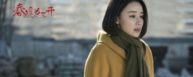 春暖花又开讲的是什么