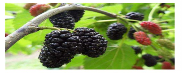 看我细细道来(细细道来怎么写)