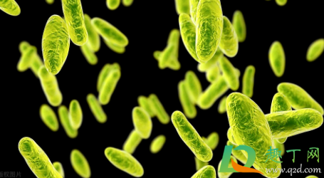 布病是不死的癌症吗(布病时间长了不治疗会不会引发癌症)