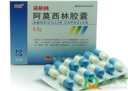 吃阿莫西林能喝酒吗会死吗(吃阿莫西林喝酒一定会死吗)