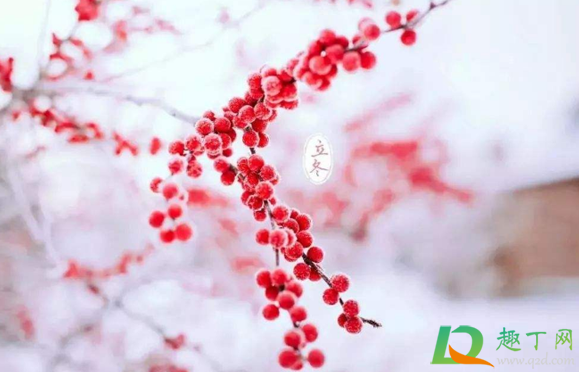 2020立冬后会下多久的雨(今年什么时候立冬2020要下雪嘛)