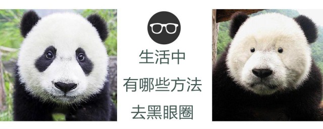 产生黑眼圈的原因是什么(导致黑眼圈的主要原因)