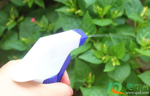 恶霉灵可以叶面喷施不(甲霜恶霉灵能叶面喷施吗)