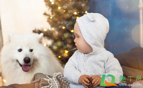 狗咬了没破皮没出血怎么办(自家狗狗咬了没破皮没出血怎么办)