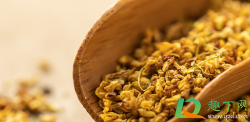 桂花爆根怎么处理(桂花根怎么去除) 桂花爆根怎么处理(桂花根怎么去除)