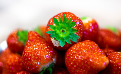 刚买的草莓为什么提回去就烂了(草莓买的时候好,拿回家就是烂的)