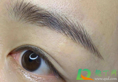 有几根眉毛变白是什么原因(有一根眉毛变白) 有几根眉毛变白是什么原因(有一根眉毛变白)